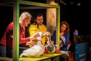 v.l.n.r.: Tobias Schmitt, Samuel Abreu und Asia Schreiter.</br></br>

Foto: Dirk Rückschloß/Pixore Photography